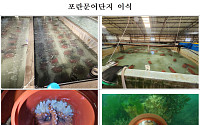 수산자원공단, 여수·고흥 연안에 참문어 포란단지 대규모 이식
