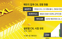 “넥스트 HBM은 CXL”…삼성·SK하이닉스·마이크론, 차세대 메모리 전쟁