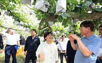 송미령 장관 “배 조기·분산 수확으로 추석 성수품 안정 공급”