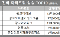 [아파트값 상승 톱10] 경기 수원 '광교더리브' 등