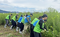 에어부산, 낙동강 생태교란종 제거 환경정화활동 전개