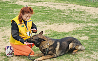 은퇴 후 불안·우울? ‘동물교감 테라피’로 5주만에 해소