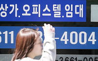 내년 전국 오피스텔·상가 기준시가 하락…서울만 ‘예외적 상승’