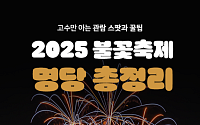 [카드뉴스] '2025 여의도 불꽃축제' 고수만 아는 숨은 명당 총정리