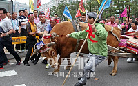[포토]국회 앞에서 뿔난 황소