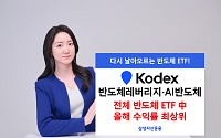 KODEX 반도체 2종, 전체 반도체 ETF 연초 이후 수익률 1위