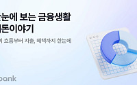 케이뱅크, ‘내돈이야기’ 서비스 출시