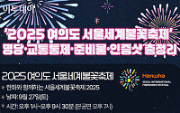 '2025 여의도 서울세계불꽃축제' 명당·교통통제·준비물·인증샷 총정리 [그래픽 스토리]