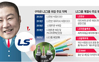 취임 4주년 ‘구자은’ LS그룹 회장, ‘양손잡이’ 경영 속도 [CEO 탐구생활]
