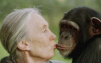 [종합] ‘침팬지의 어머니’ 제인 구달 별세…향년 91세
