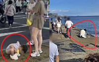 제주도 용머리해안서 아이 용변...관광객 민폐 '논란'