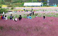 '꽃밭에서 추석연휴 마무리' [포토]