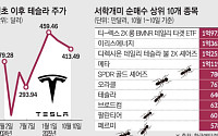 “미워도 다시 한번”…테슬라로 몰려간 서학개미