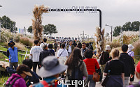 '6만평 규모 하늘공원에서 억새 구경해요' 서울억새축제 찾은 시민들 [포토]