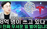 [찐코노미] AI 관련주 강세..."쉽게 꺼지지 않는다"