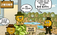[AI 코인패밀리 만평] 배추값 80% 폭락? 풍년은 풍년인데...