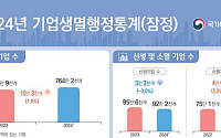 작년 신생기업 92만 개, 4년 연속 감소...부동산시장 침체 영향