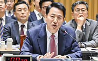 오세훈, '국감 언급' 민주당에 맞불…"부동산 폭탄 회수하라"