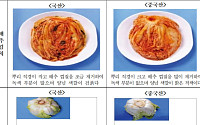 “국산인 줄 알았는데”…김장철 원산지 둔갑 김치, 최대 1억 원 벌금 철퇴