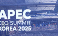 美·中 이견 속, ‘통상부터 AI’까지⋯정부 '경주 선언' 채택에 외교 총력전 [경주 APEC]