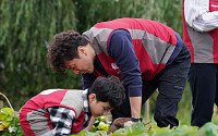 롯데건설 샤롯데 봉사단, 2년 연속 '그린팜' 텃밭 봉사활동 진행