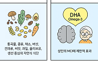 [만화로 보는 시니어 뉴스] “두뇌도 식습관이 좌우한다”…인지 건강 위한 식단