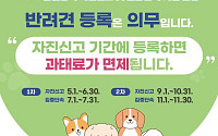 반려견 미등록 집중단속에 나선 전북도