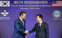제57차 한미안보협의회의(SCM), 서로 손 잡은 안규백-피트 헤그세스 국방부 장관 [포토]