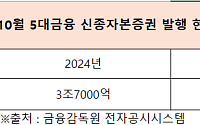 ‘생산적 금융’ 속도내는 금융지주…저금리 영구채로 자본 쌓는다