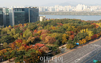 입동에도 온화한 가을 날씨…단풍 물든 여의도 [포토로그]