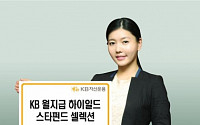 KB자산운용‘KB월지급 하이일드 스타펀드 셀렉션 펀드’출시