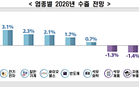 “내년 수출 0.9% 증가…통상 불확실성에 채산성 악화”