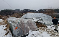 폭설 한 번에 하우스도 무너진다…정부, 겨울철 농업 피해 ‘선제 방어’