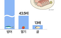 돌아온 방어의 계절…올해 겨울 음식 트렌드는? [데이터클립]