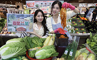 김장 직전 폭등한 배추값...이마트, 가격 방어 성공 비결은 ‘산지 확장·통합 매입’