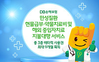 DB손해보험, 신담보 3종 '배타적 사용권' 획득