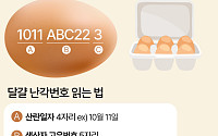 계란 껍데기에 적힌 '10자리 숫자'의 비밀 [에그리씽]
