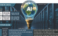 AI 데이터센터 1곳 '서울 전력' 필요⋯수도권 '전력망 레드존' [전력대란의 징후]