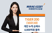 TIGER 200 ETF 연초 이후 개인 누적 순매수 6000억 돌파