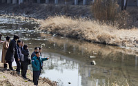 마포구, 성산천 2.4km 환경개선 완료⋯"안전하고 쾌적한 수변공간으로“
