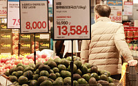 식품물가 5년새 27% 올라⋯고환율에 수입 먹거리 가격 출렁