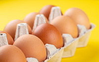 ‘하루 계란 한 알’ 시대⋯50년간 1인당 소비량 4배↑ [에그리씽]