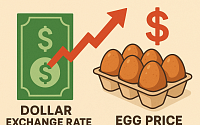 달러가 요동치면 닭이 화내는 이유?…계란 값이 알려준 진실[에그리씽]