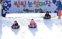 노원구 '씽씽 눈썰매장' 23일 개장⋯90m 초대형 슬로프 운영