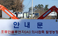 천안 산란계 농장서 고병원성 AI 의심 항원…3만여 마리 살처분