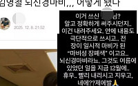 김영철, "내가 뇌신경마비?" 가짜 뉴스에 분노⋯"자극적인 글, 내려라"