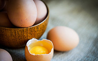 슈퍼푸드 달걀, 콜레스테롤 걱정은 이제 그만 [에그리씽]