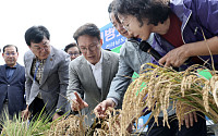 벼 깨씨무늬병 피해 4만9000ha 확정…재난지원금 436억 원 이달 지급