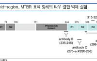 교보증권 "오스코텍, 레이저티닙 로열티 수익·제노스코 자회사회에 달린 주가 향방"