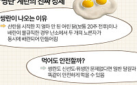 '쌍란' 달걀의 진짜 정체 [에그리씽]